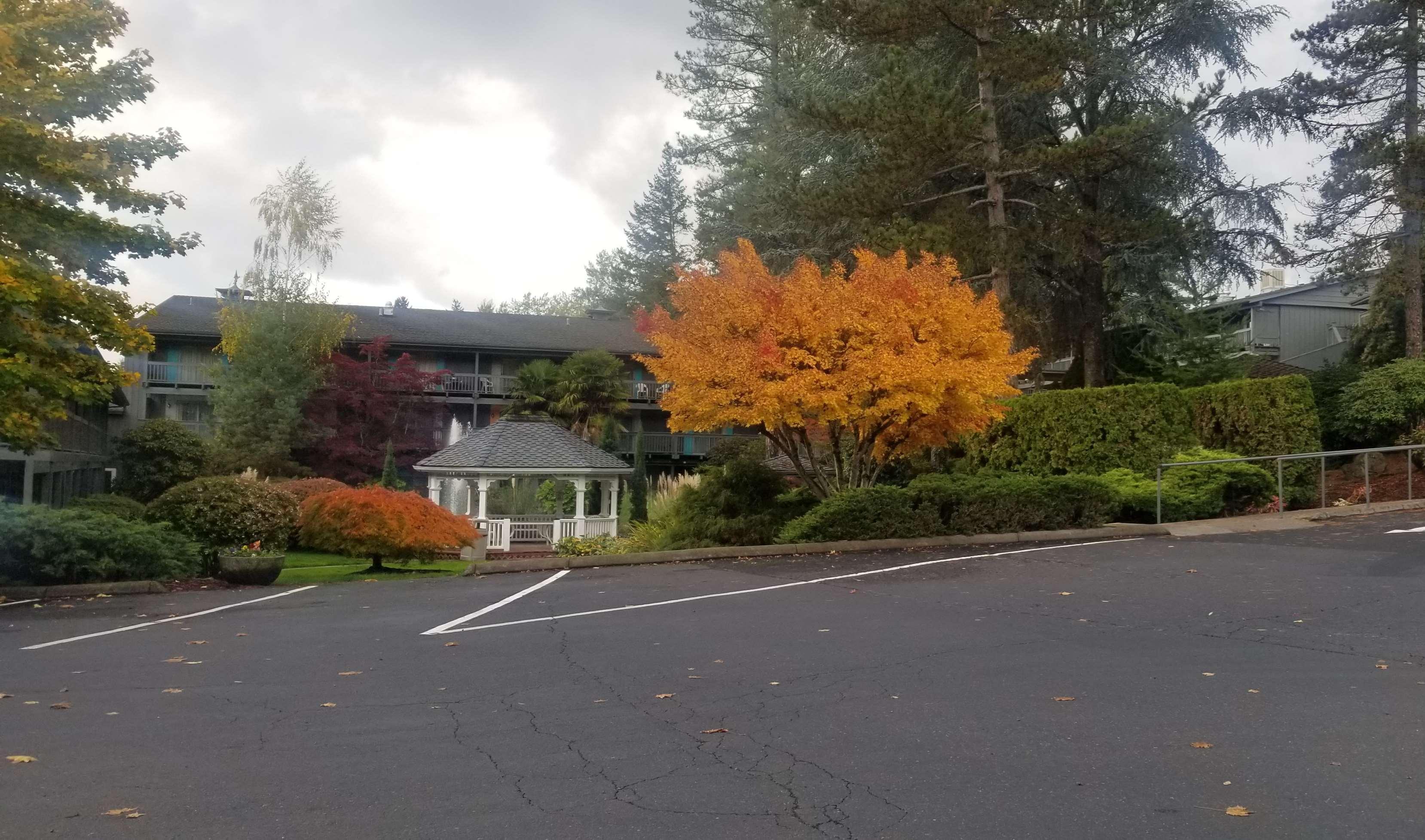 Hotel Western West Beaverton 3*